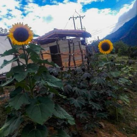 Hostal Las Valkirias Matanza Εξωτερικό φωτογραφία