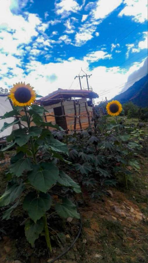 Hostal Las Valkirias Matanza Εξωτερικό φωτογραφία
